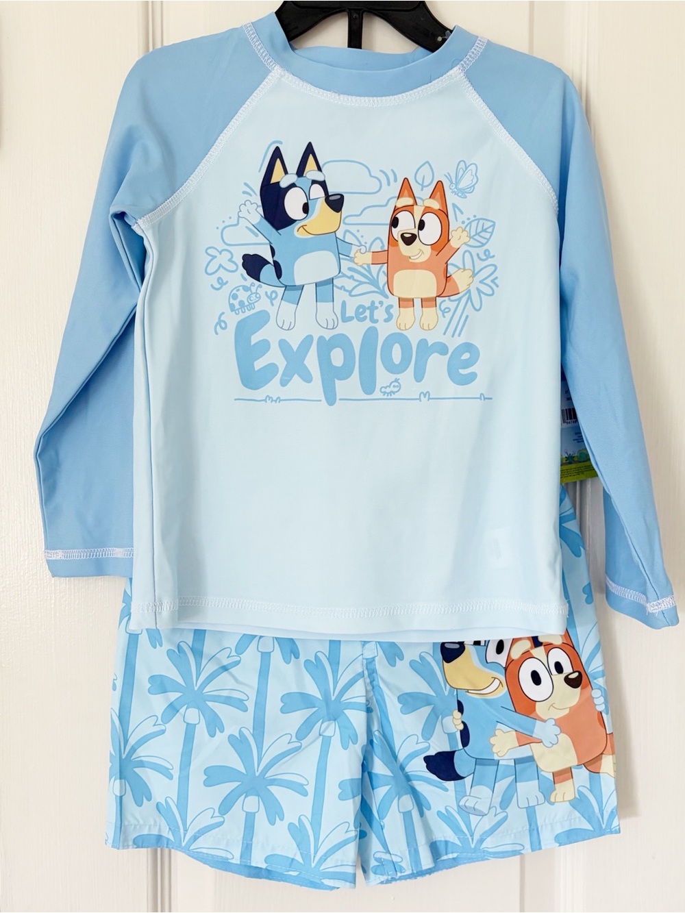 3T • NEW bluey swimsuit and Rashguard set